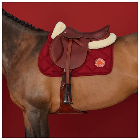 prix equitation hermes|Hermes horse equipment for sale.